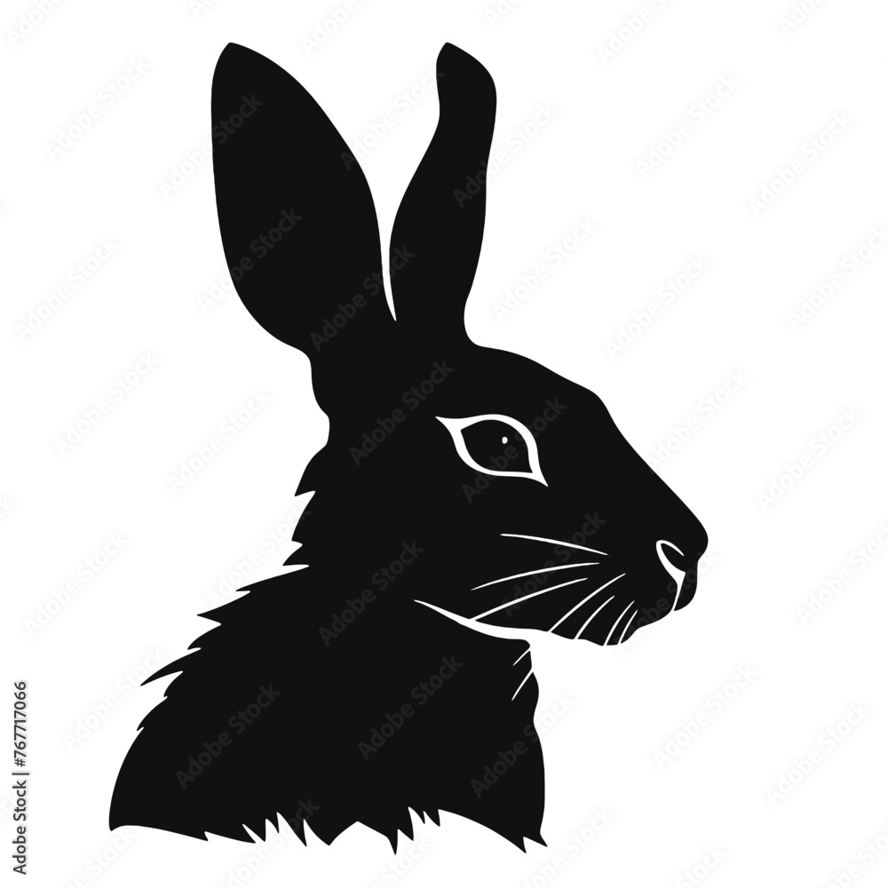 Fototapeta premium rabbit silhouette
