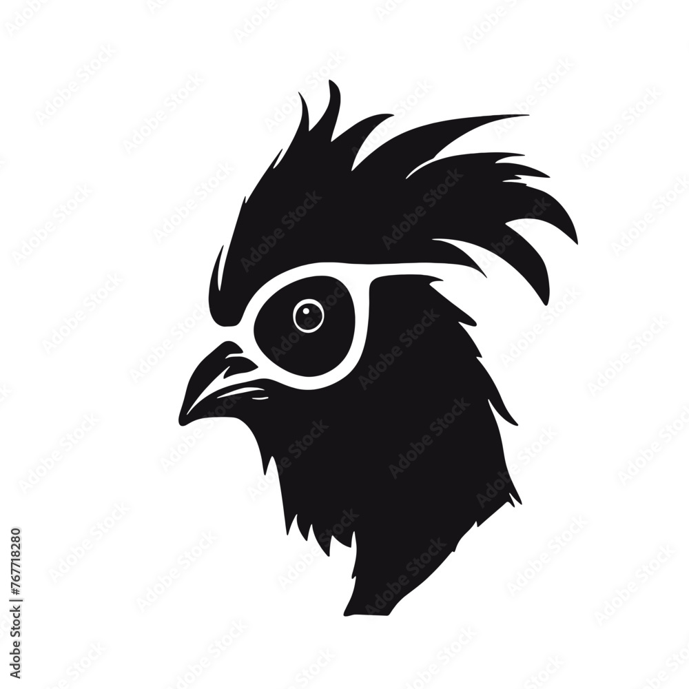 Fototapeta premium Chicken , Rooster Sunglasses