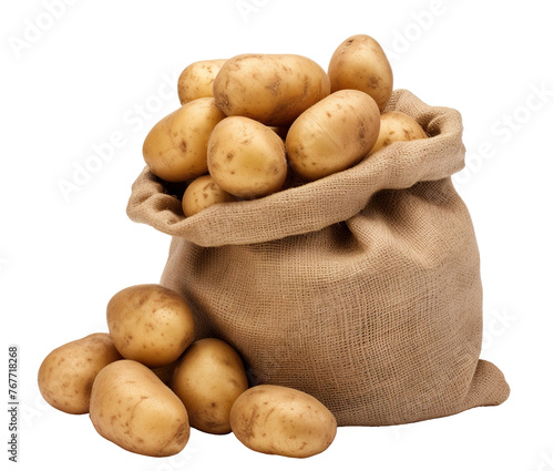 Fresh harvested potatoes in a burlap sack, cut out