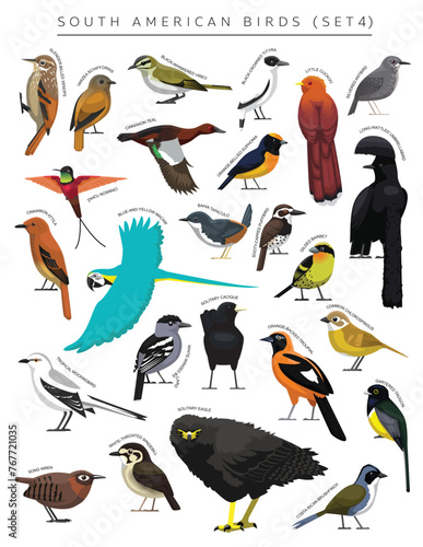 South American Birds Set Cartoon Vector Character 4