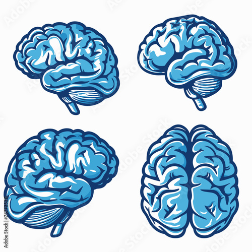 human brain vector