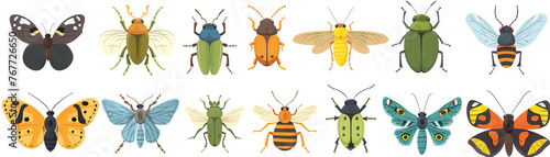 Insect Investigators Guild: Collecting and Studying Bugs and Insects. © Lila Patel
