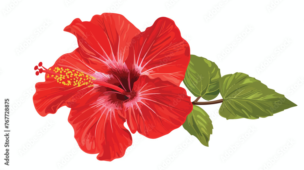 Vector hibiscus flower illustration Flat vector 