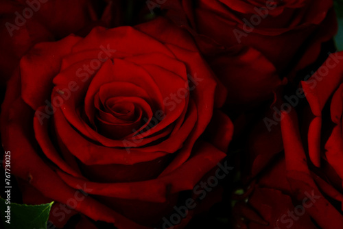 red rose in a Bouquet, closeup