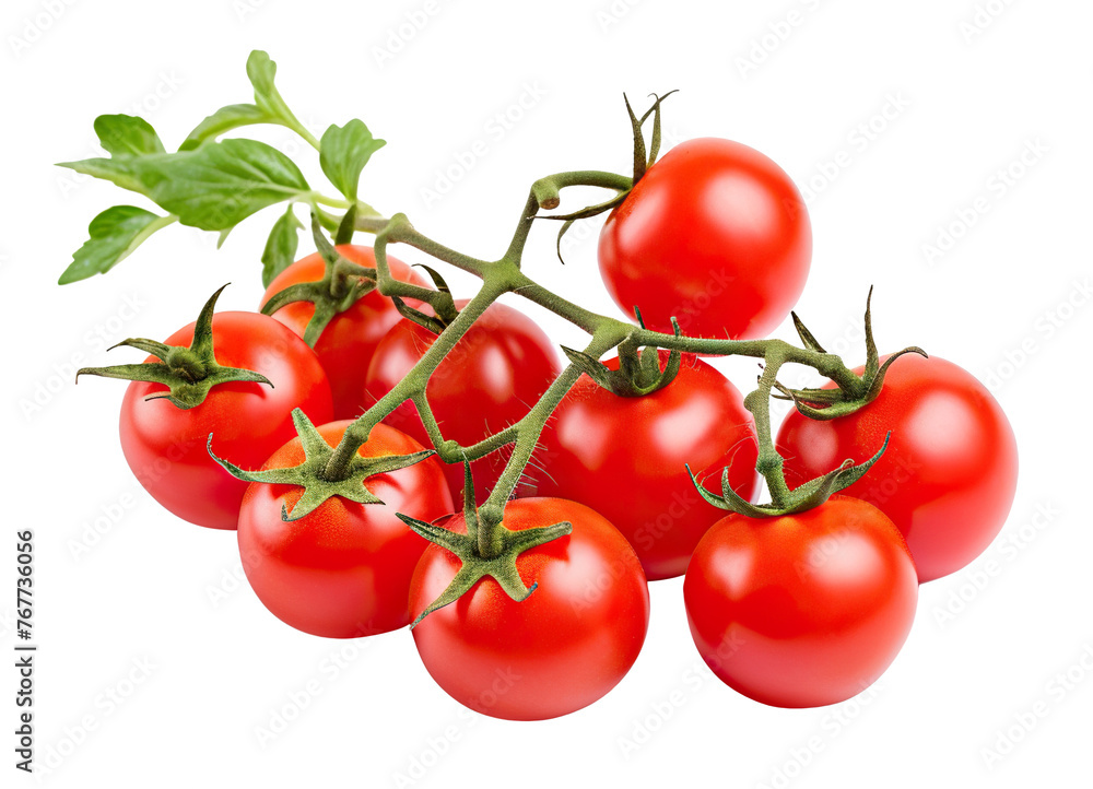 Ripe delicious tomatoes on branch, cut out