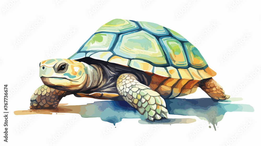 Watercolor Tortoise Flat vector isolated on white background