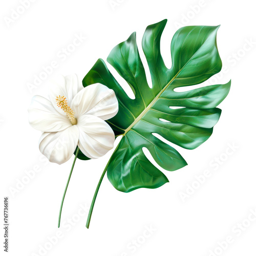 Green leaf with flower. Isolated on transparent background. photo