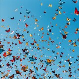 thousands of multicolored butterflies flying against a pure blue sky