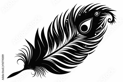 peacock-feather-black-silhouette-vector-white-background. photo