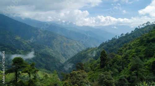 Valley View With Trees and Mountains