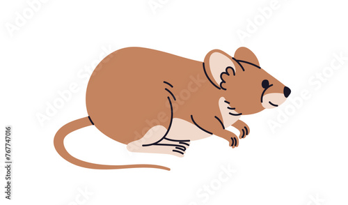 Fototapeta Naklejka Na Ścianę i Meble -  Rat profile. Brown house mouse. Cute rodent pet, side view. Pest, wild nature fauna, mammal with tail. Flat vector illustration isolated on white background