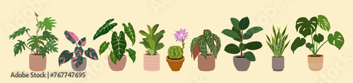 Set of home plants in flowerpots. Houseplants for modern home decoration. Urban jungle. Hand drawn vector illustration isolated on light background, flat cartoon style.