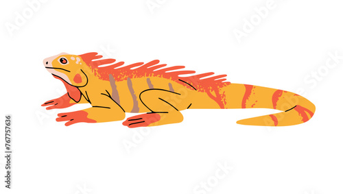 Green iguana with orange patterned skin. Guana, lizard with colourful striped tail. Exotic reptile, tropical reptilian. Jungle Fauna, animal of rainforest. Flat isolated vector illustration on white