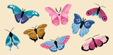 Beautiful butterflies of different shapes on beige background. Vector colorful set of illustrations for the design of packaging, cards, patterns.