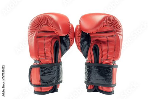 MMA gloves photo