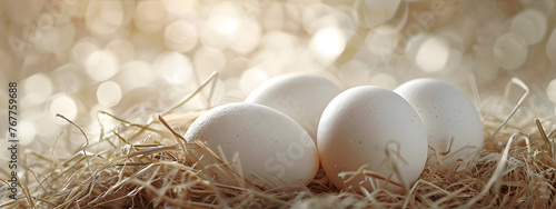 Close up eco friendly chicken eggs with nest. White eggs in a hay. with circle bokeh on the background.  Natural products concept with copy space.  photo