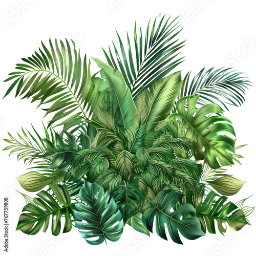 Tropical leaves foliage plant jungle bush floral arrangement nature backdrop on transparency background