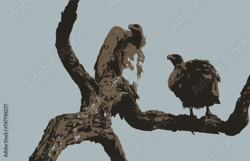 Print - Two Vultures in a tree