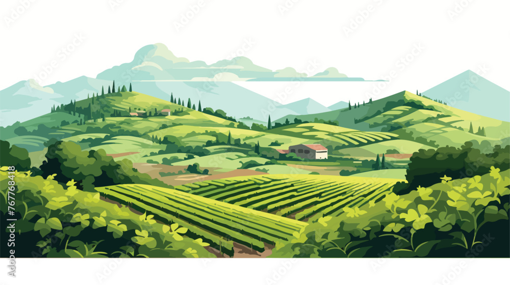 Hilly landscape cultivated vineyards. Flat vector 