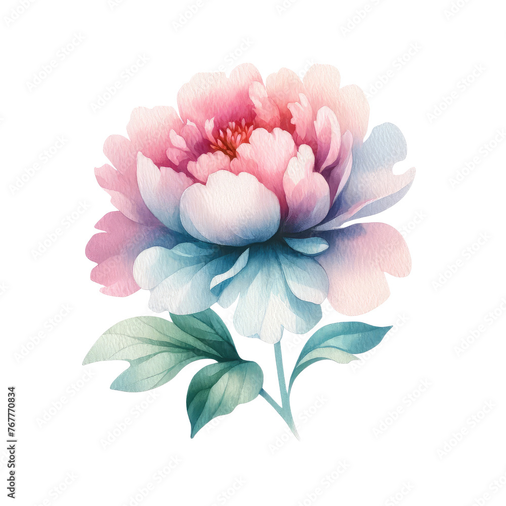 Watercolor peony clipart with delicate petals and vibrant hues. Watercolor peony clipart for graphic resources.
