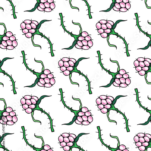 Small Pink Raspberries. Seamless pattern. Color berries. Hand-drawn flat image of food, vegetables and fruits. Design of candies and sweet dessert . Vector illustration.
