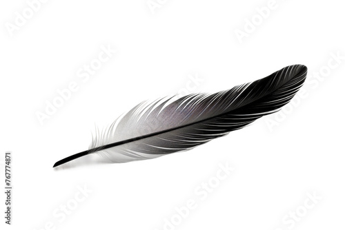 Monochrome Elegance: Black and White Feather on White Canvas. On a White or Clear Surface PNG Transparent Background.