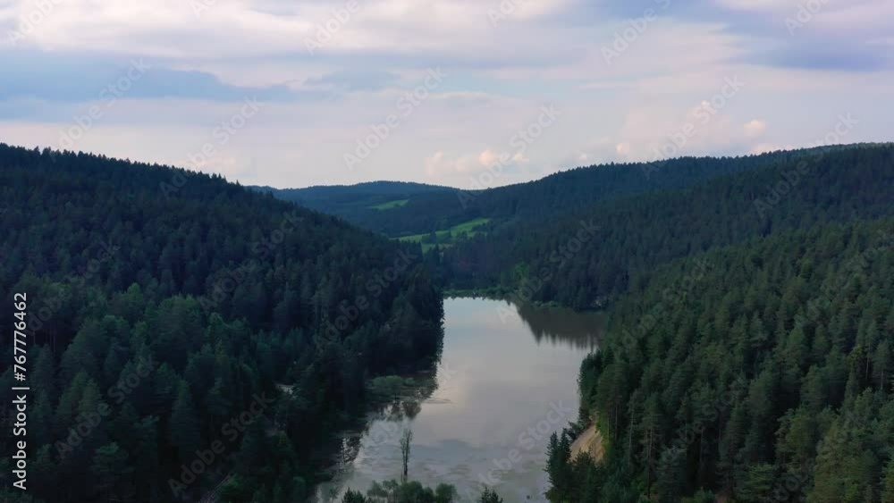 Aerial view of a lake in the pine forest with mountains. Aerial view of a lake in the pine forest with mountains.