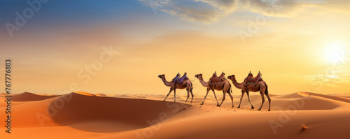 Cammels in dessert. Camel animals walking through a hot desert full of sand