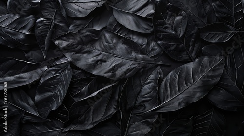 Textures of Abstract Black Leaves for Tropical