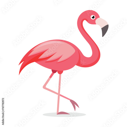  Flamingo Bird vector illustration on white background.