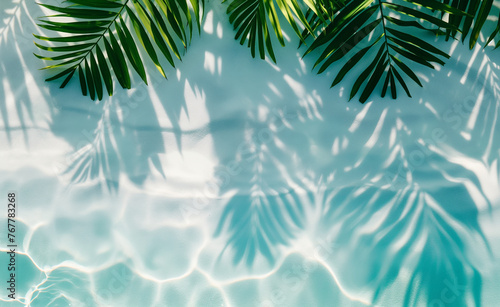 Tropical Tranquility: Palm Leaf Shadows on Water © Curioso.Photography