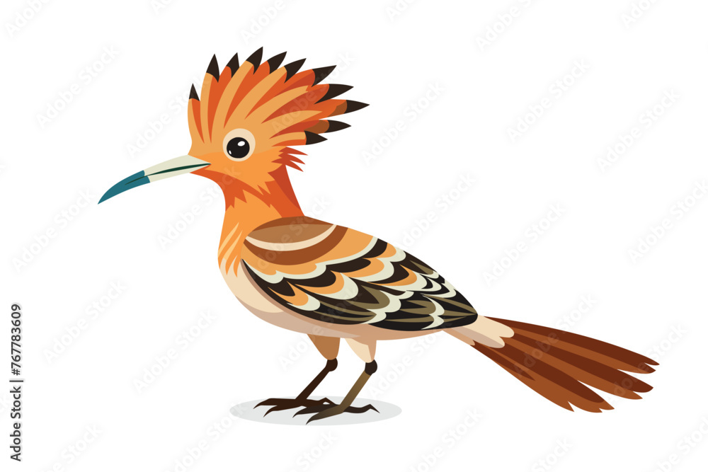 Fototapeta premium Hoopoe Bird vector illustration on white background.