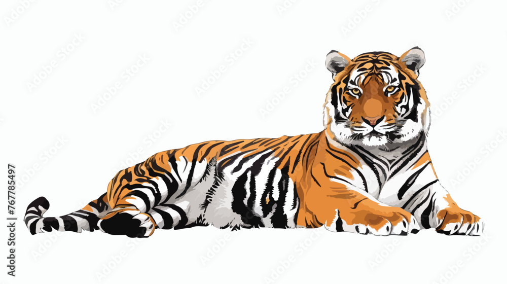 Tiger sketch illustration Flat vector isolated on white