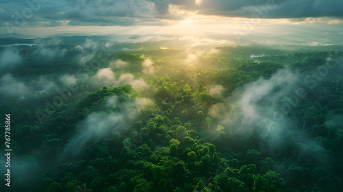 The photo shows a tropical green forest and nature from above with clouds, from a bird's eye view.