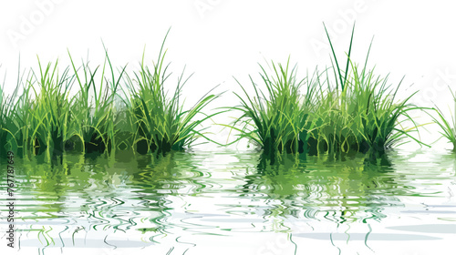 Vector grass background with reflections in the water