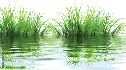 Vector grass background with reflections in the water © Mishab