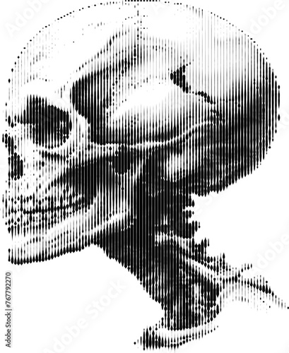 Halftone skull side profile vector illustration © RuleByArt