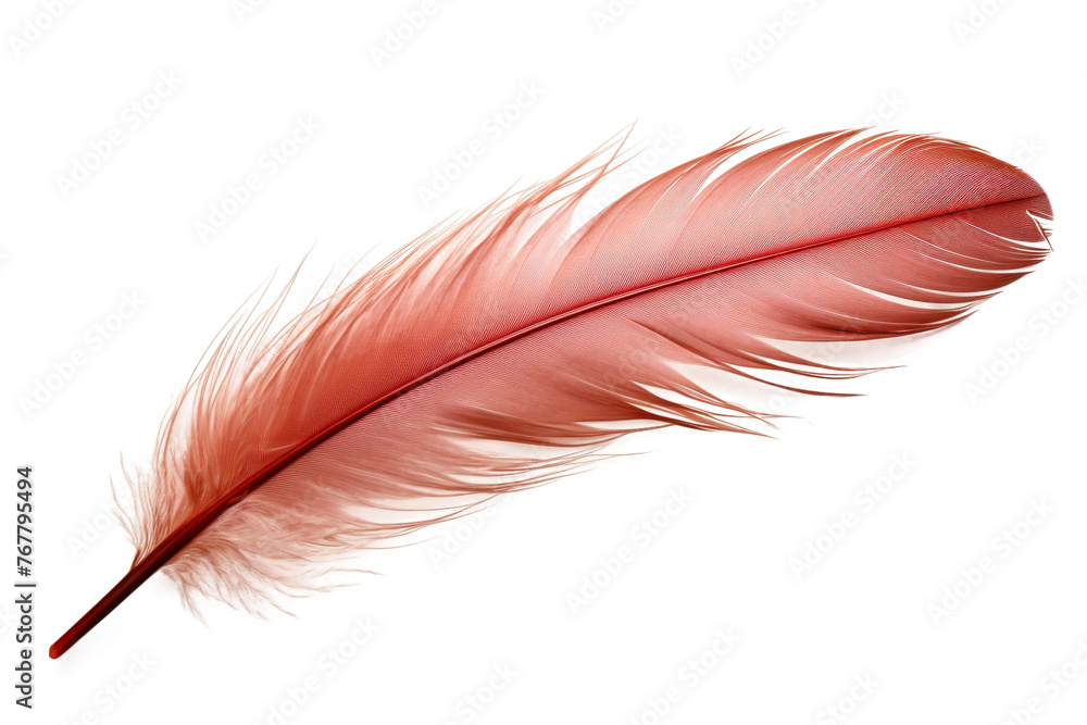 Crimson Elegance: A Solitary Red Feather Resting Gracefully on a Pristine White Canvas.. On a White or Clear Surface PNG Transparent Background. Crimson Elegance: A Solitary Red Feather Resting Gracefully on a Pristine White Canvas.. On a White or Clear Surface PNG Transparent Background.