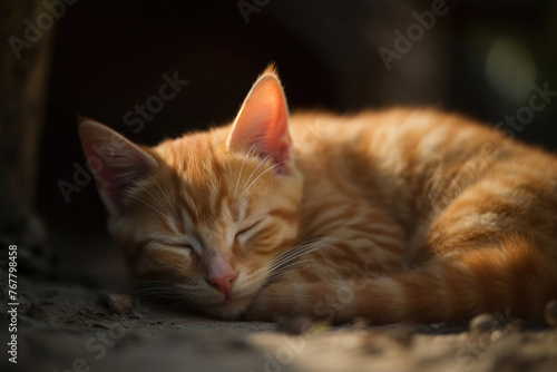 Cute sleeping ginger cat