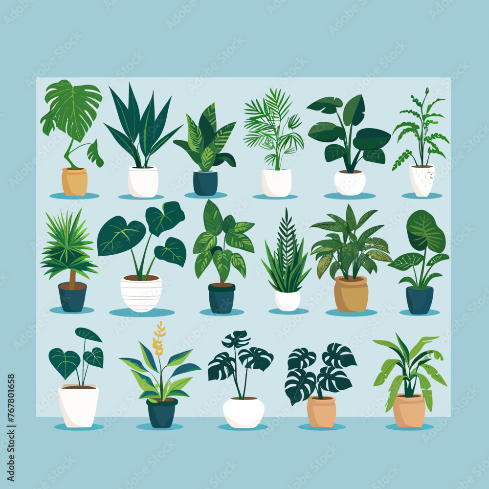 a bunch of potted plants on a blue background a bunch of potted plants on a blue background