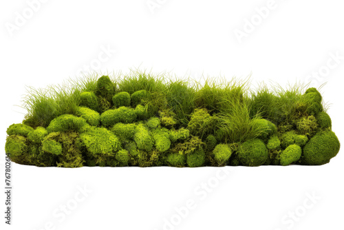 Lush Green Moss Blanketing White Surface. On a White or Clear Surface PNG Transparent Background.