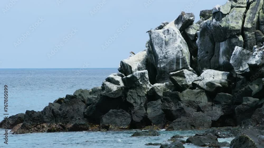 Blue footed booby birds spending their day on huge rocks. Blue footed booby birds spending their day on huge rocks.
