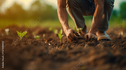 A man and women planting a seedling in a freshly tilled field and garden