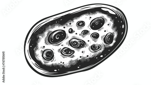 Abstract oval shape tiny protist amoeba organelle  photo