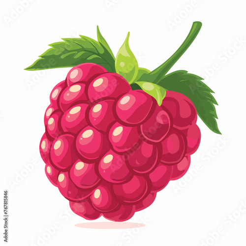 Raspberry vector illustration. Flat design. Raspbery