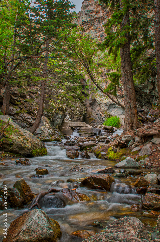 Rushing waters cascade over rocks in a forest pathway, surrounded by towering trees and cliffs Rushing waters cascade over rocks in a forest pathway, surrounded by towering trees and cliffs