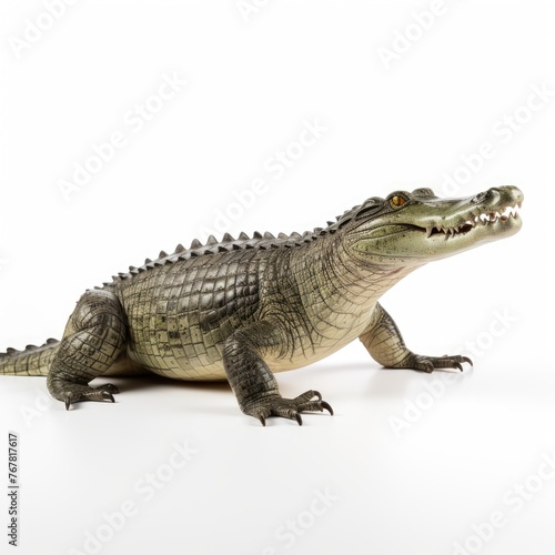Photo of crocodile isolated on white background