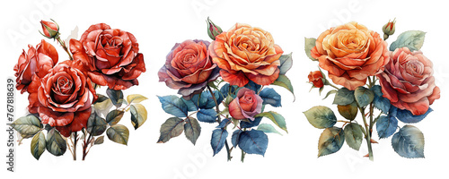  Red roses watercolor bouquet composition png transparent background