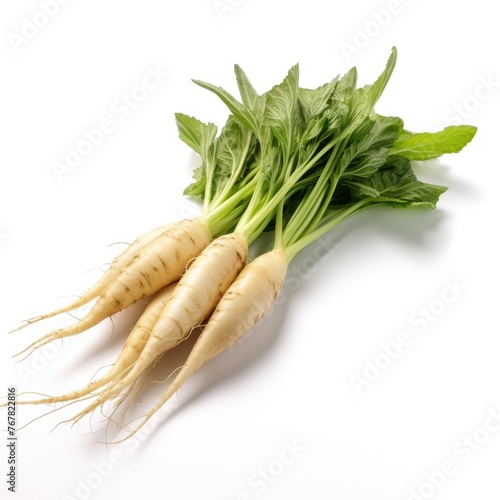 Photo of salsify vegetable isolated on white background