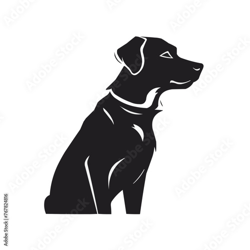 A black dog is sitting on a white background